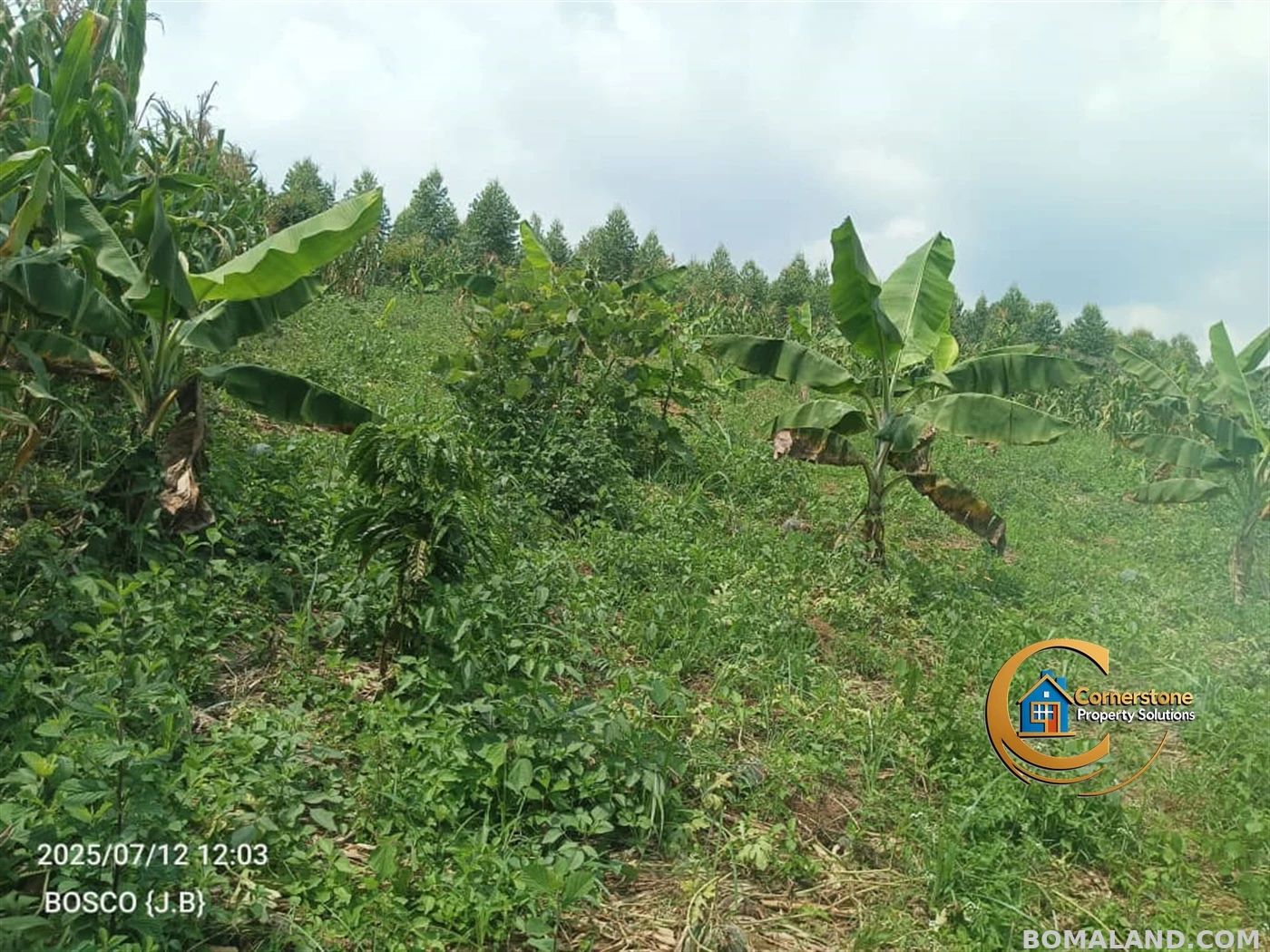 Agricultural Land for sale in Minana Mityana Uganda