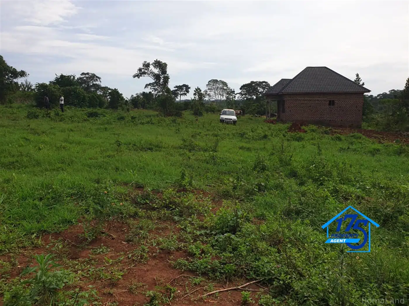 Residential Land for sale in Bukeelele Mukono Uganda