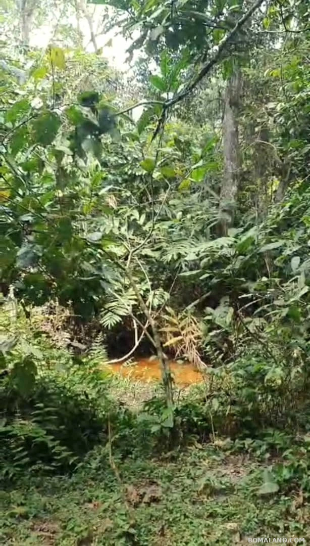 Agricultural Land for sale in Kyesiiga Kyotera Uganda
