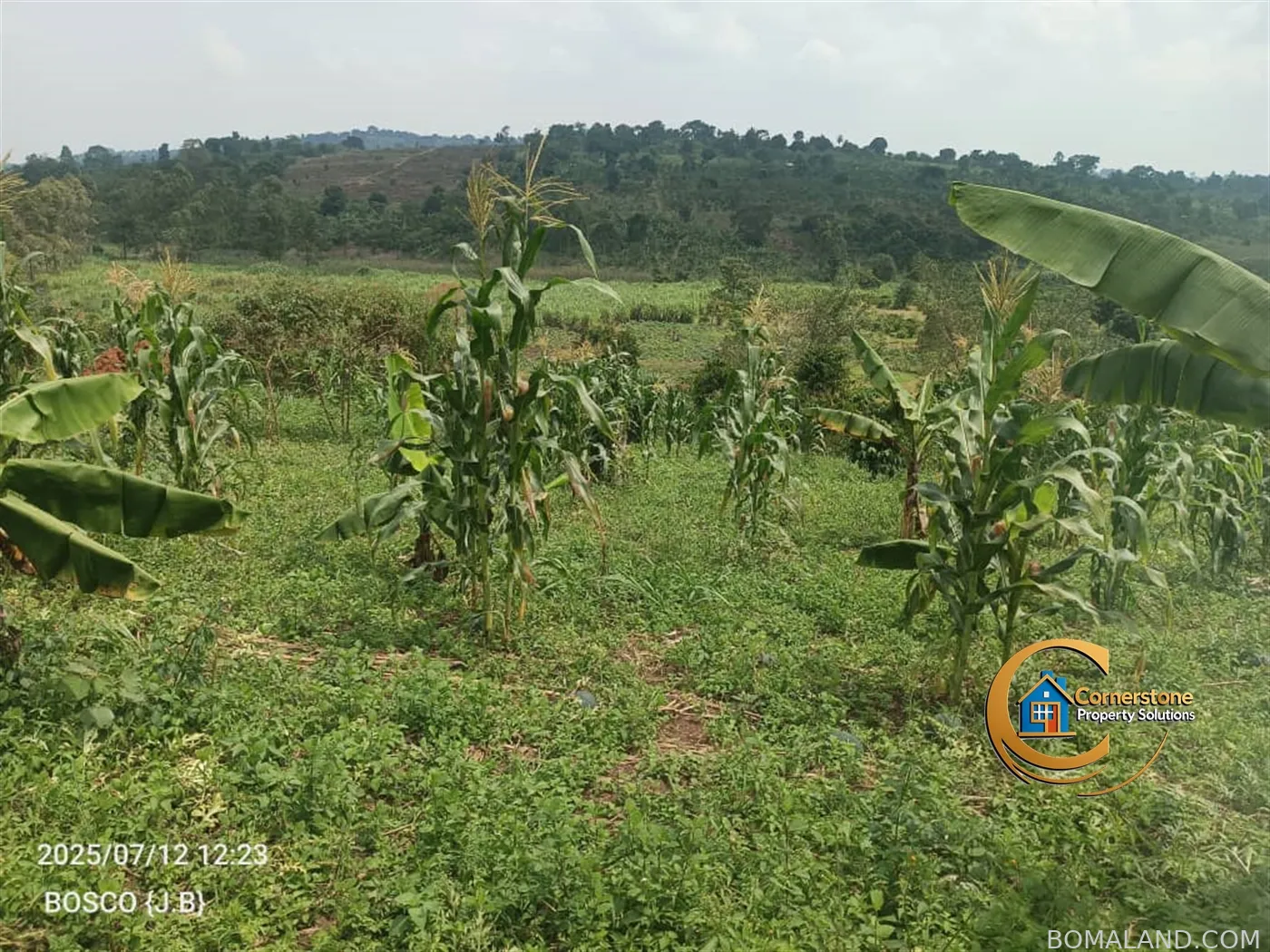 Agricultural Land for sale in Minanna Mityana Uganda