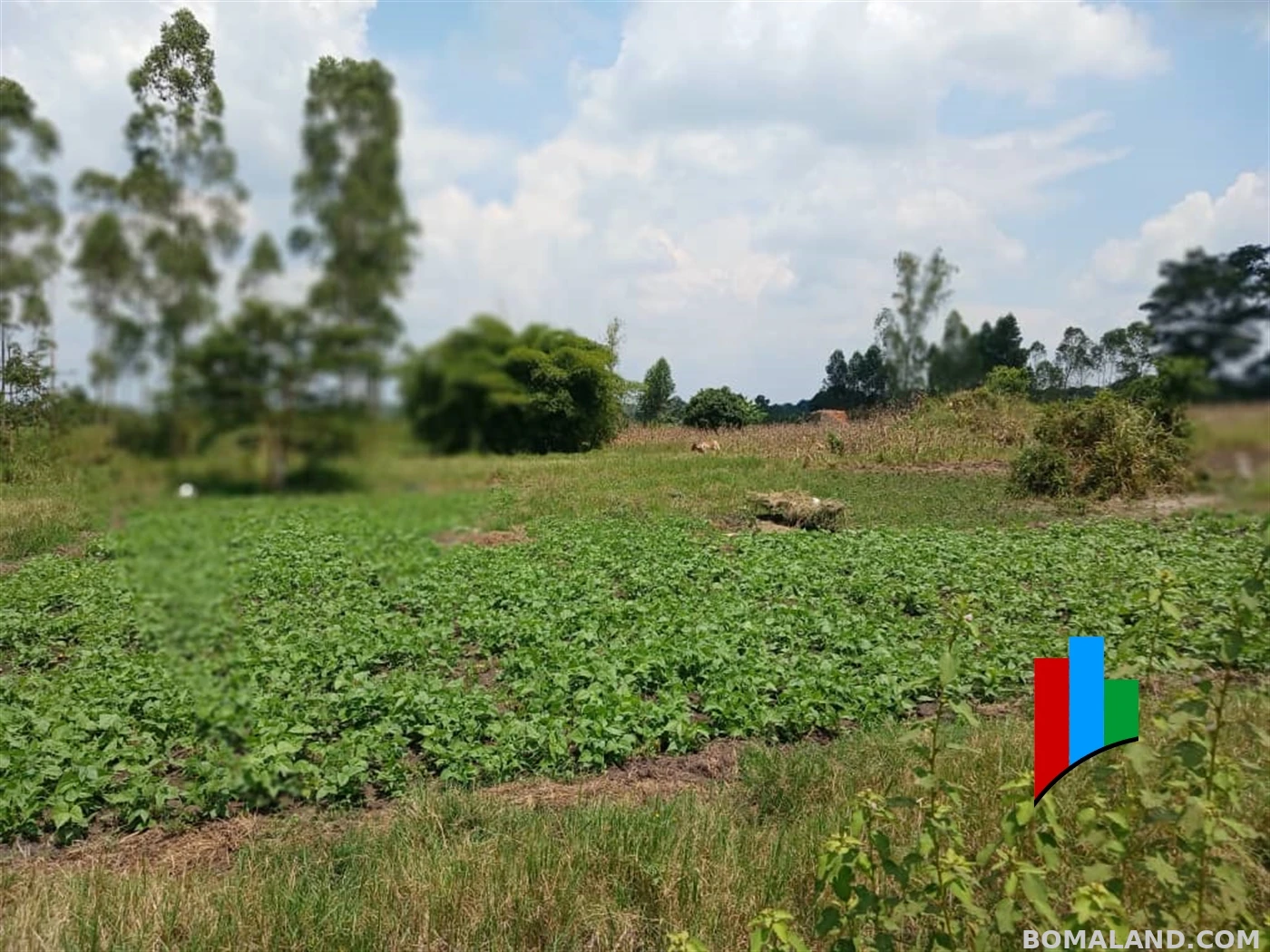 Agricultural Land for sale in Kiwoko Nakaseke Uganda