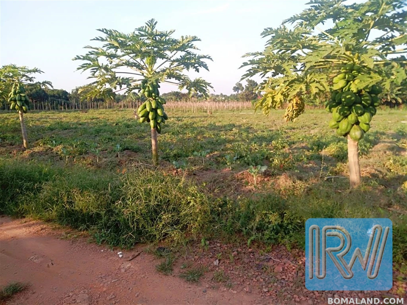 Residential Land for sale in Garuga Wakiso Uganda