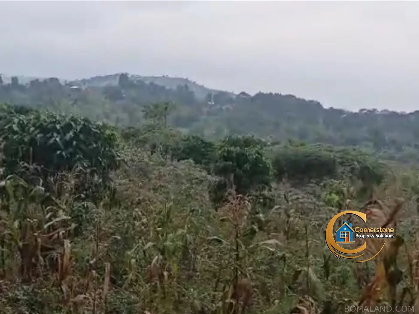 Agricultural Land for sale in Kiyanja Mukono Uganda