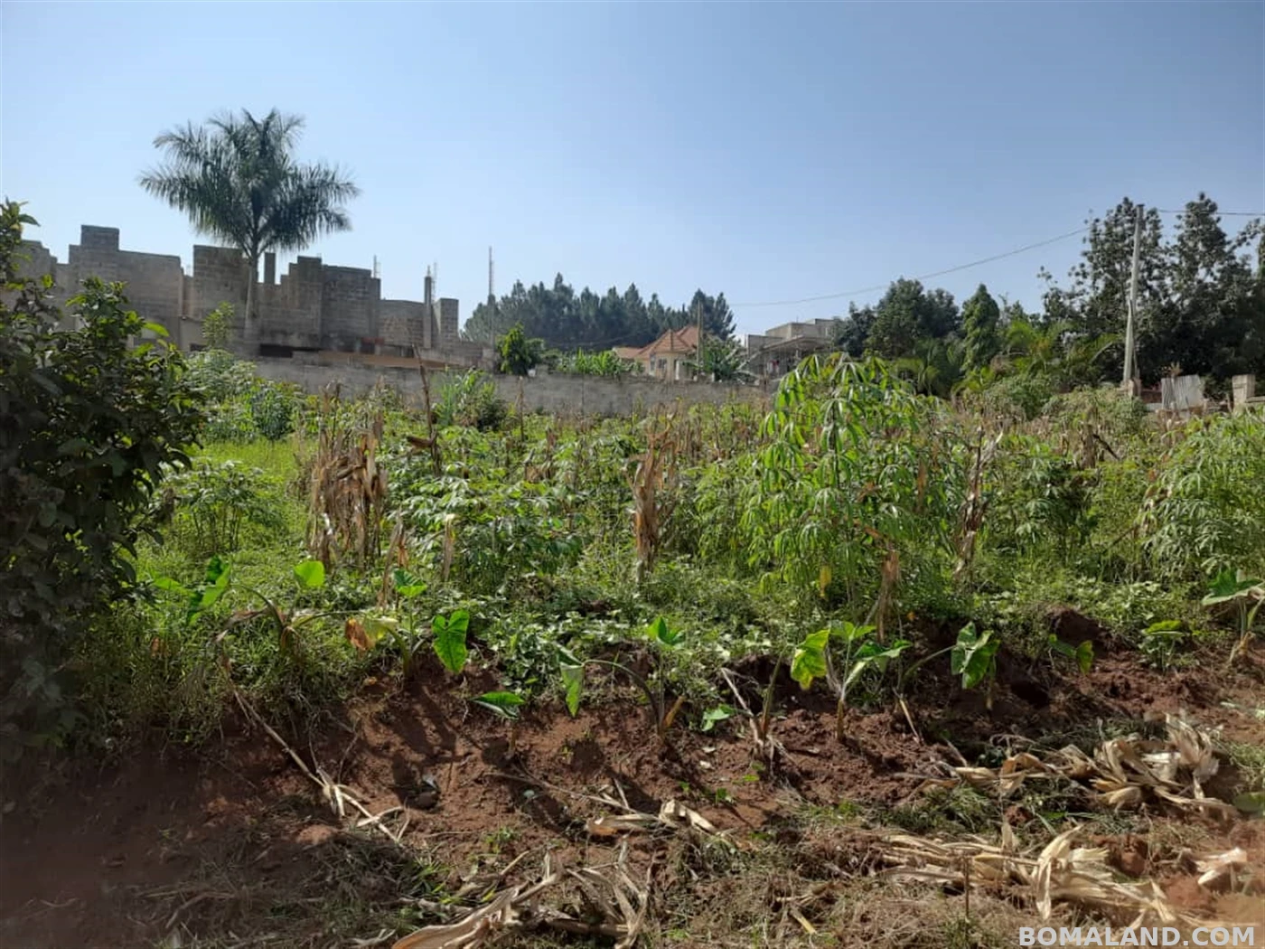 Residential Land for sale in Namwezi Mukono Uganda