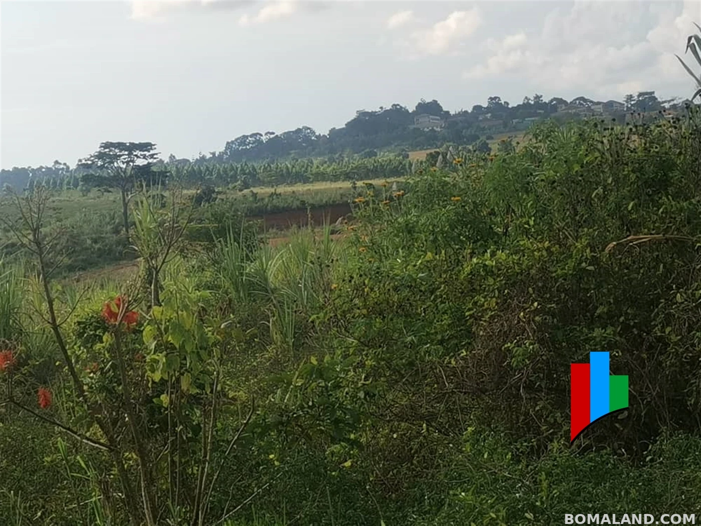 Industrial Land for sale in Namanve Mukono Uganda