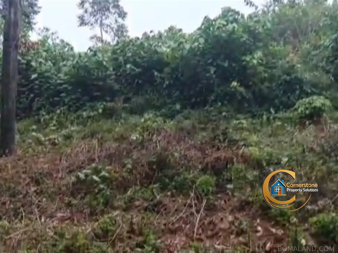 Agricultural Land for sale in Kiyanja Mukono Uganda