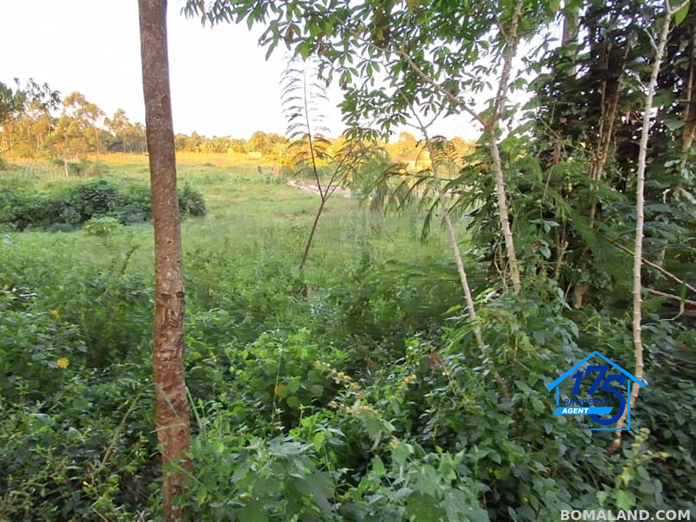 Residential Land for sale in Nkokonjeru Mukono Uganda