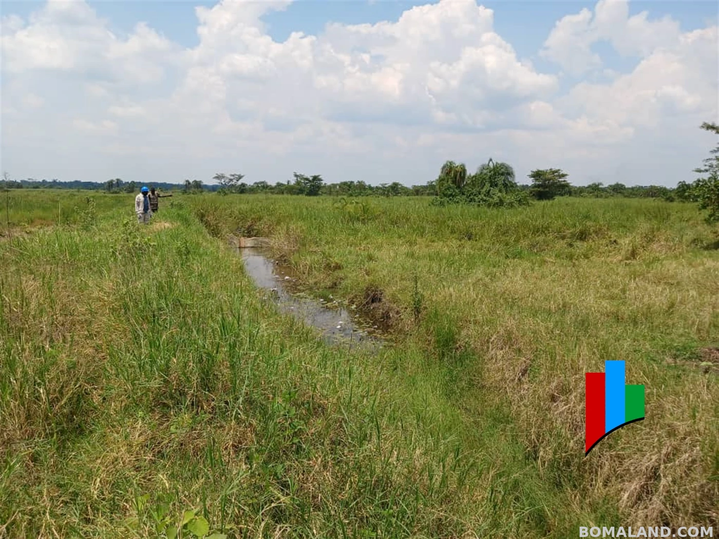 Agricultural Land for sale in Kiwoko Nakaseke Uganda