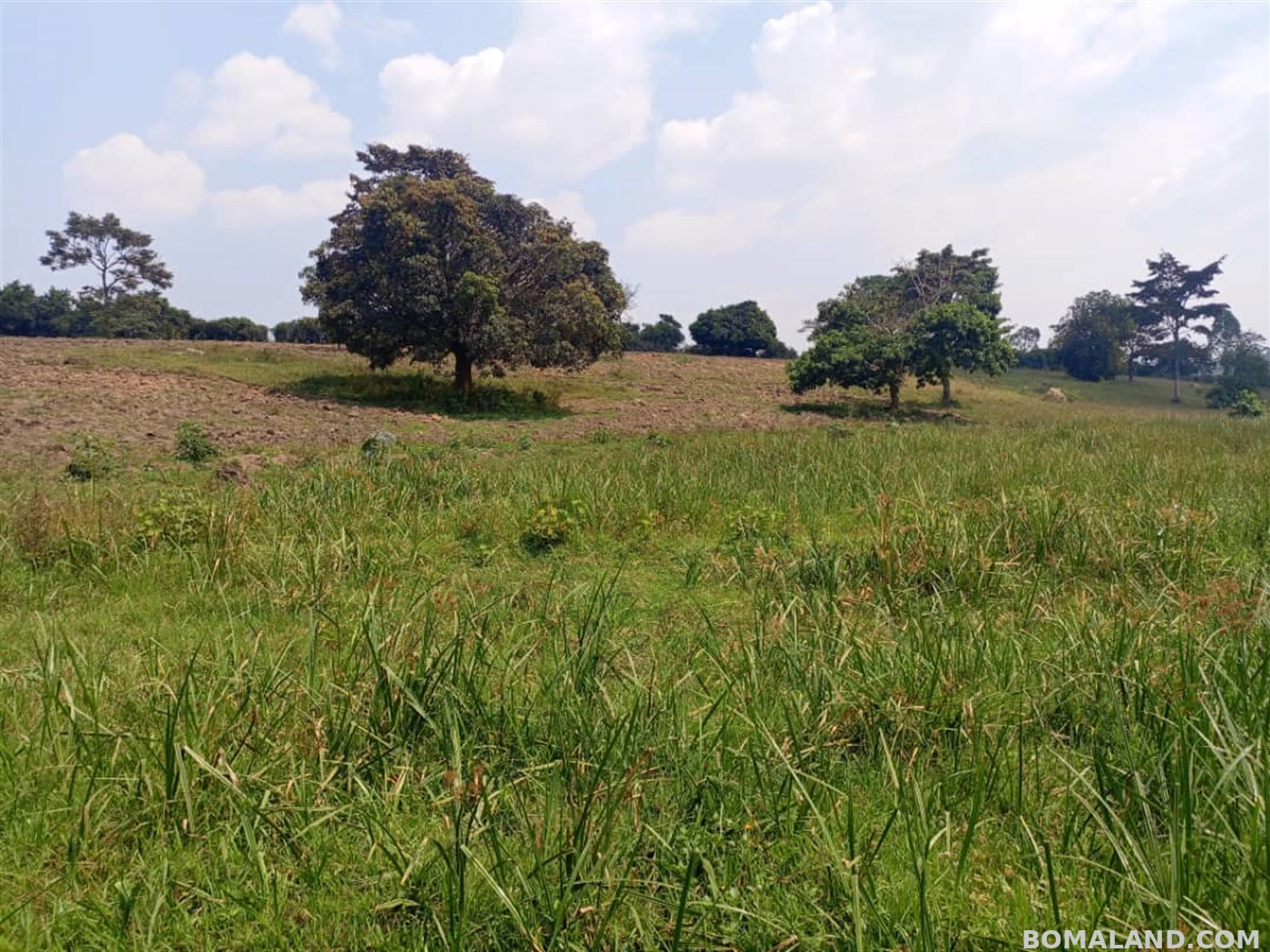 Factory for sale in Kakelenge Wakiso Uganda
