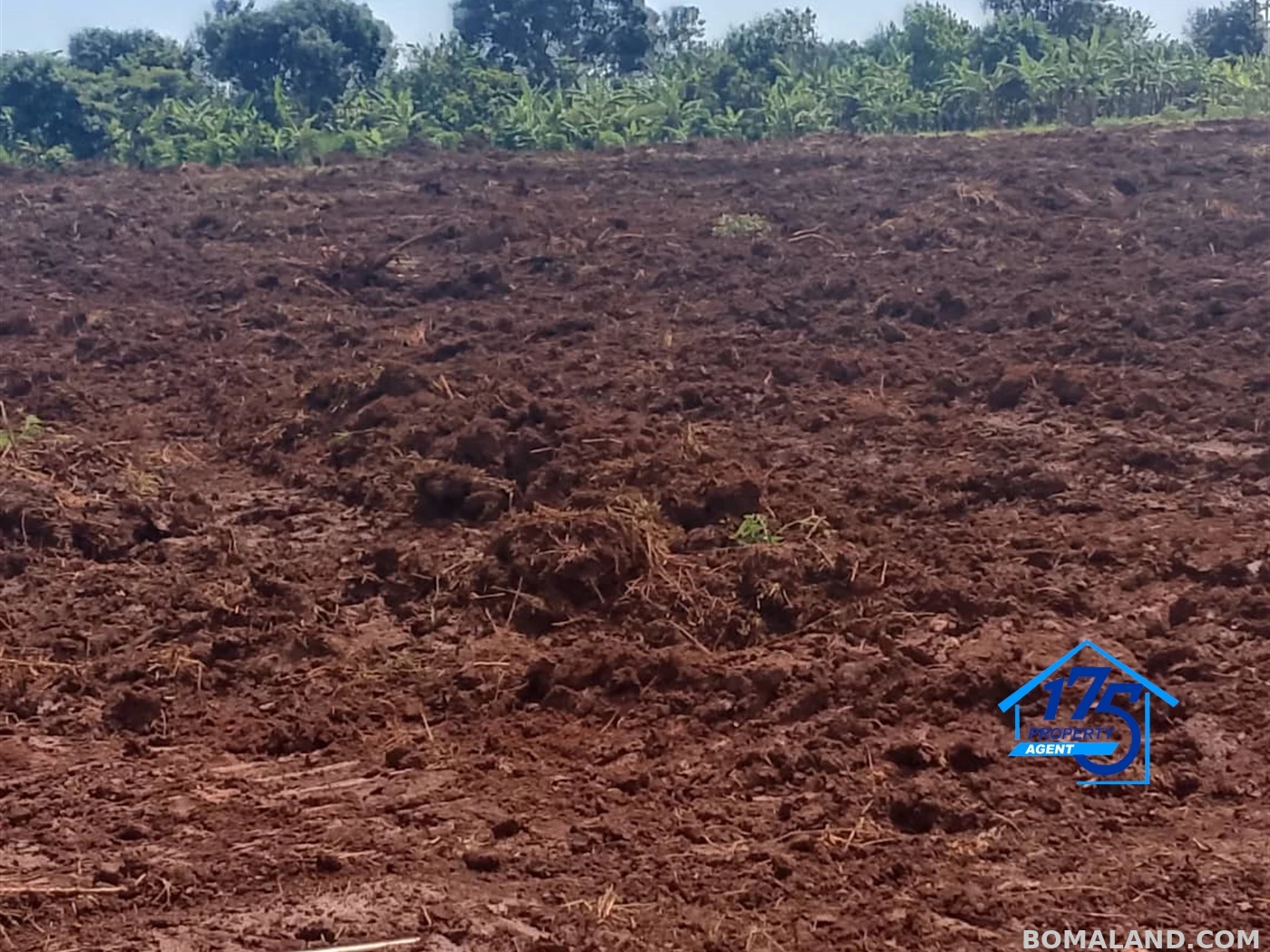Residential Land for sale in Gayaza Wakiso Uganda