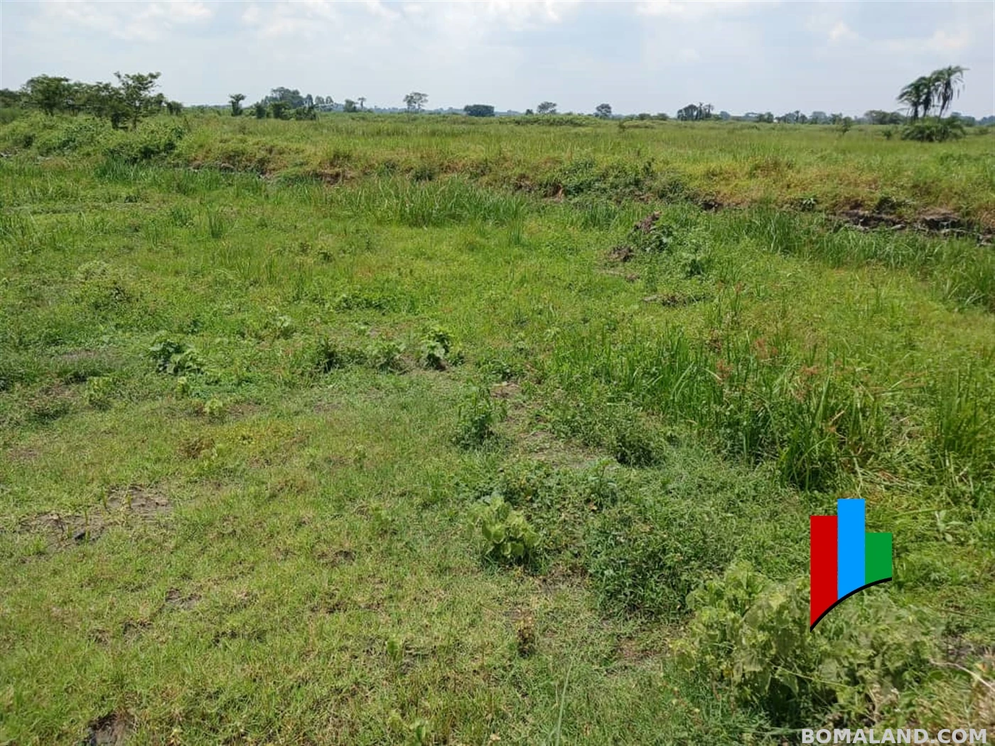 Agricultural Land for sale in Kiwoko Nakaseke Uganda