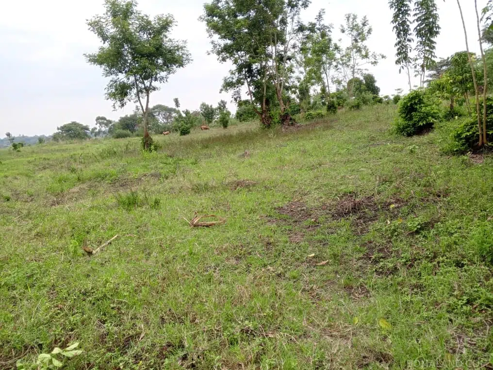 Recreational Land for sale in Namatogonya Kayunga Uganda