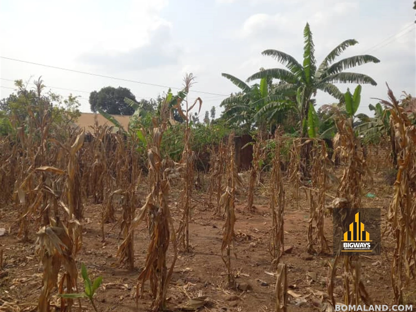 Residential Land for sale in Kasangati Wakiso Uganda